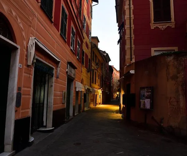 1919 东塞斯特里